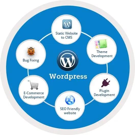 hire-wordpress-developer