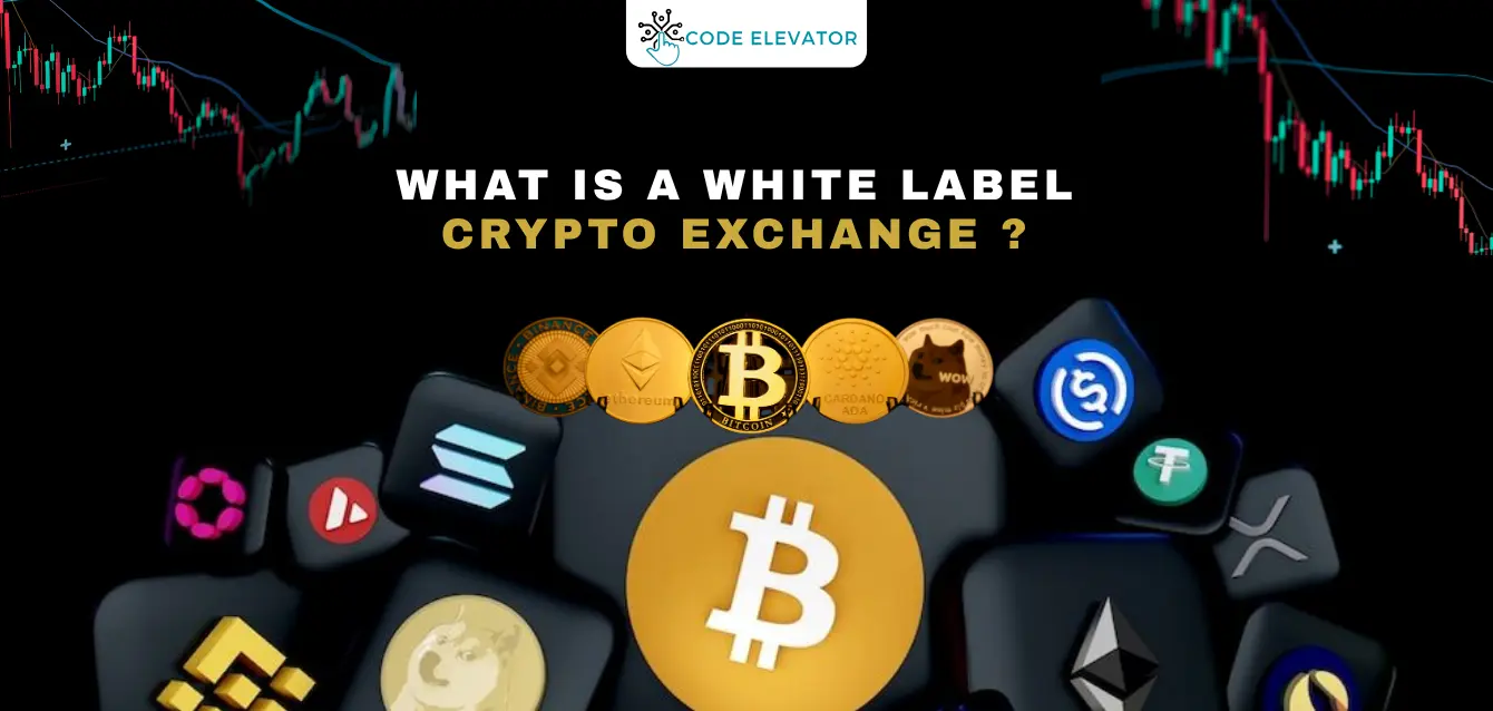 White-Label-Crypto-Exchange-